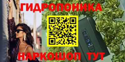 прущие крисы Кунгур