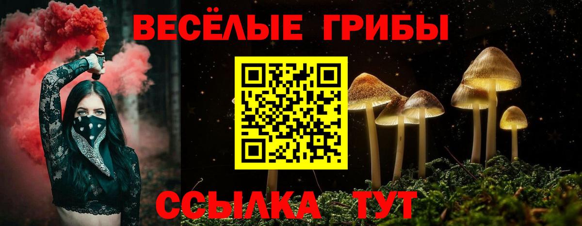 Галлюциногенные грибы прущие грибы  Псилоцибиновые грибы прущие грибы  Гусь-Хрустальный  Вход с VPN 